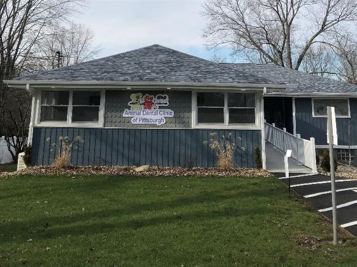 Animal Dental Clinic of Pittsburgh, LLC 4