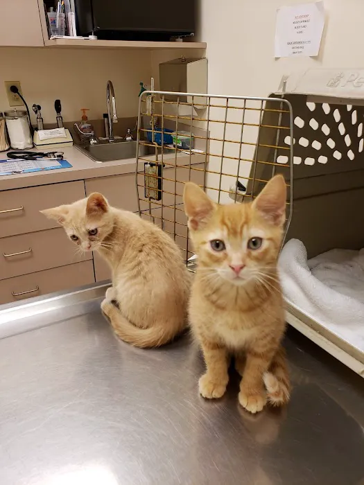 Gardens Veterinary Hospital 3