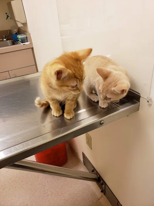 Gardens Veterinary Hospital 4