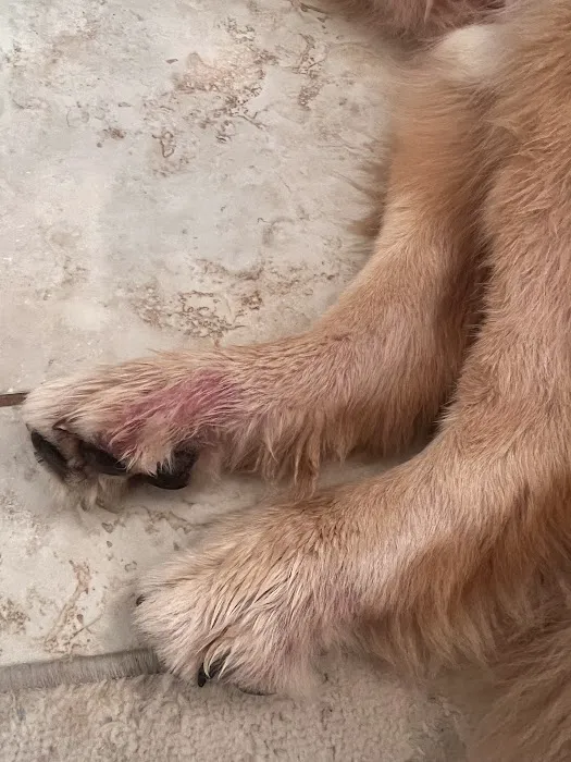 Gardens Veterinary Hospital 1