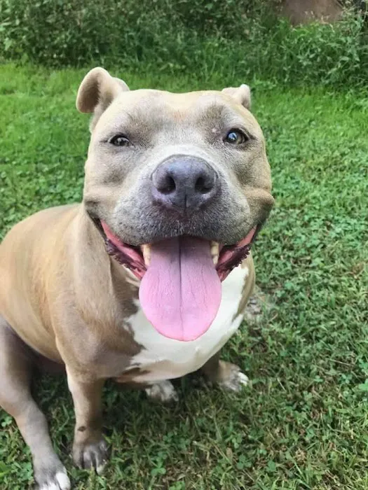 PetVet365 Pet Hospital Pittsburgh/Cranberry 5