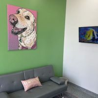 PetVet365 Pet Hospital Pittsburgh/Cranberry ico