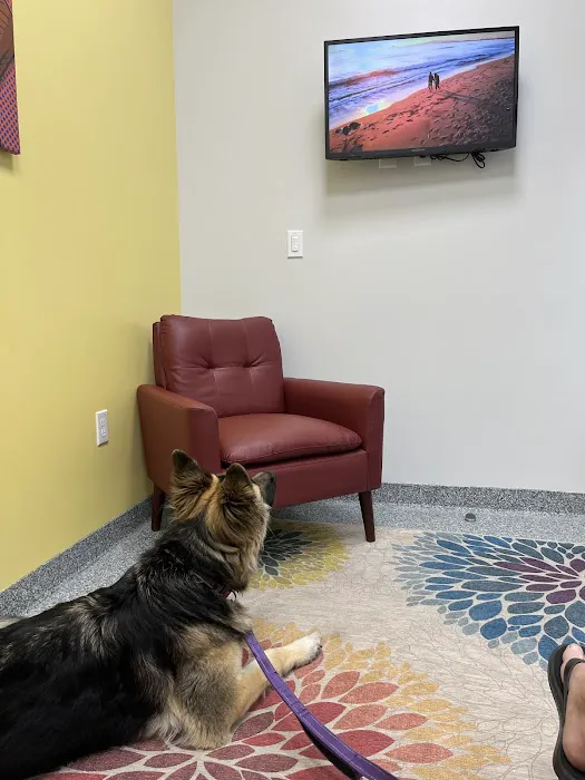 PetVet365 Pet Hospital Pittsburgh/Cranberry 6