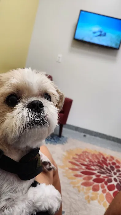 PetVet365 Pet Hospital Pittsburgh/Cranberry 10