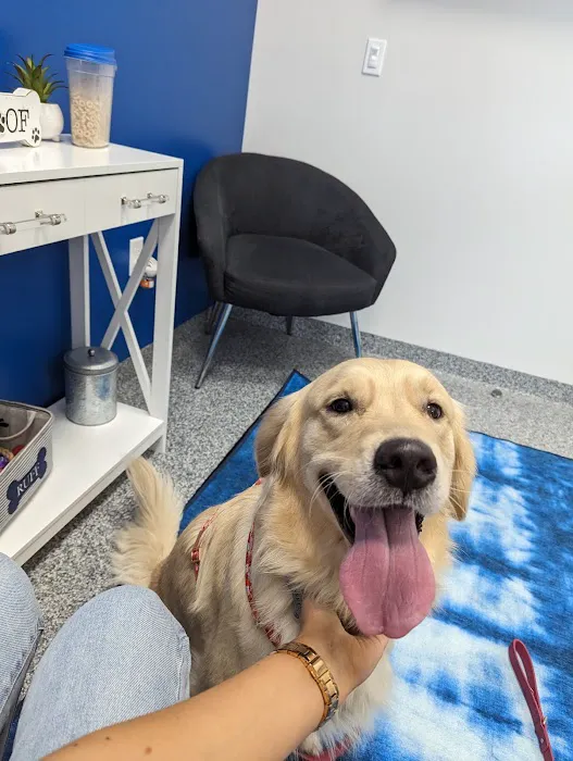 PetVet365 Pet Hospital Pittsburgh/Cranberry 9