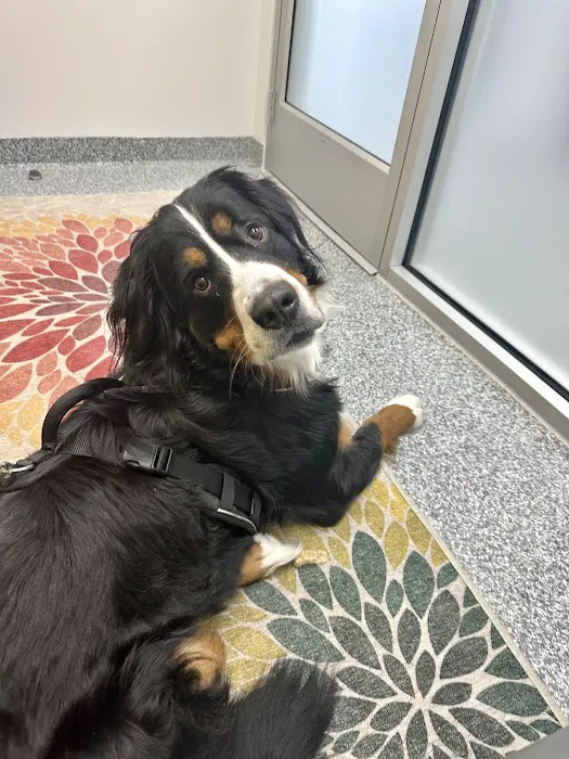 PetVet365 Pet Hospital Pittsburgh/Cranberry 8
