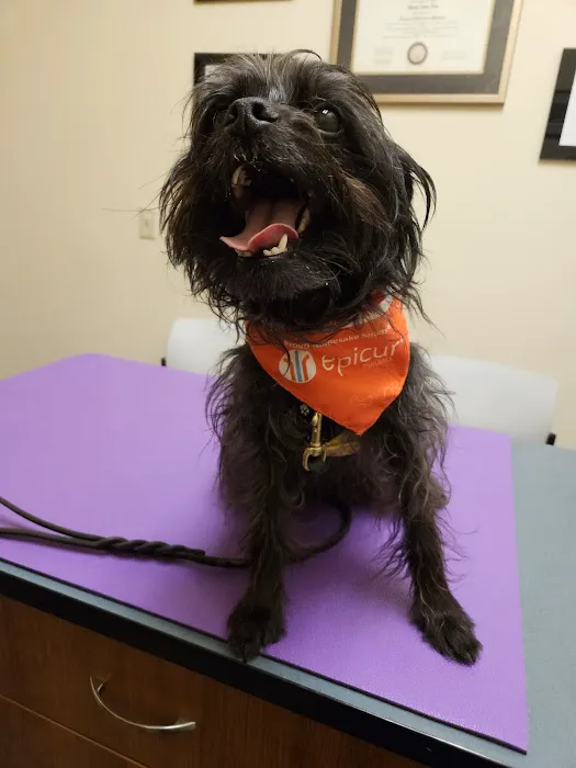 Animal Eye Clinic-Pittsburgh 4