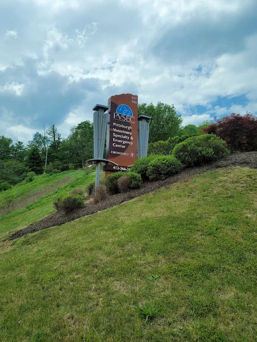 Pittsburgh Veterinary Cardiology 9