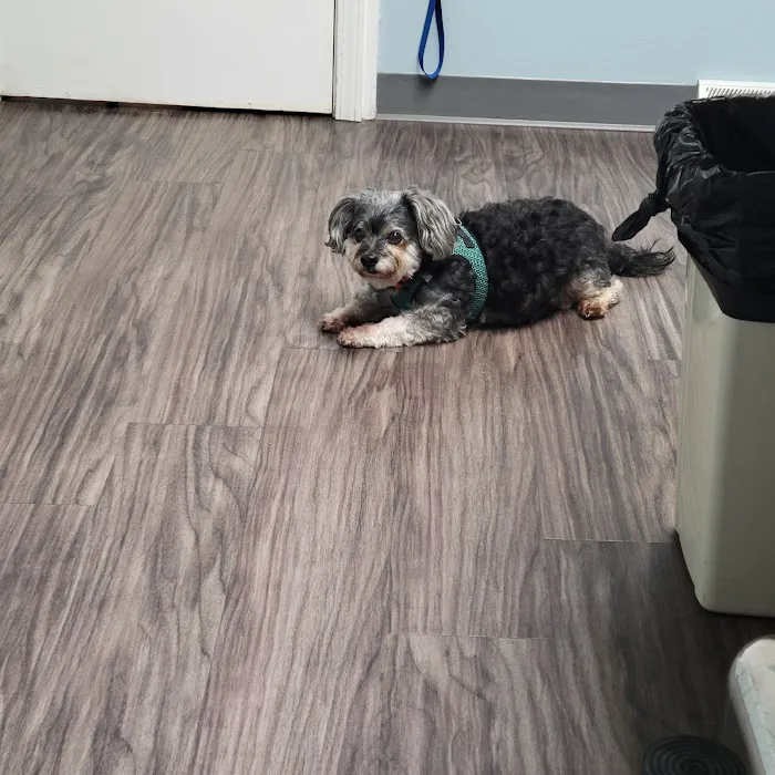 PetSmart veterinary 1