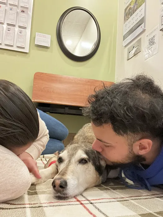 Banfield Pet Hospital 7