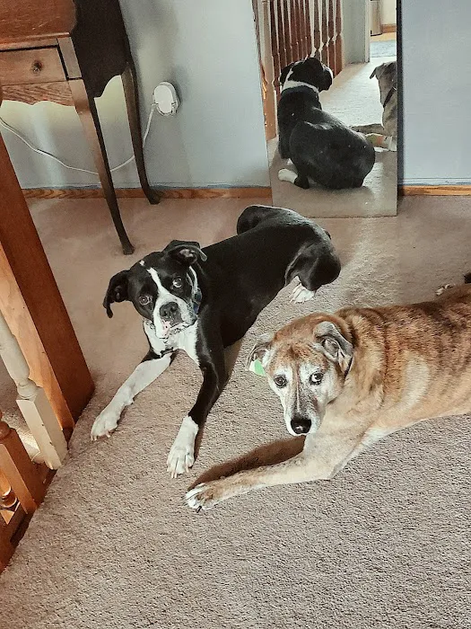 Banfield Pet Hospital 3