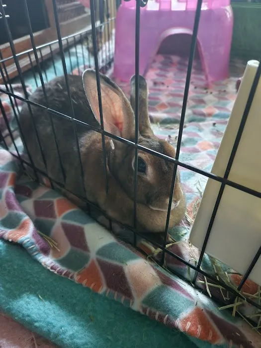 Banfield Pet Hospital 8