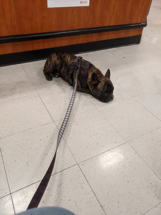 Banfield Pet Hospital 1