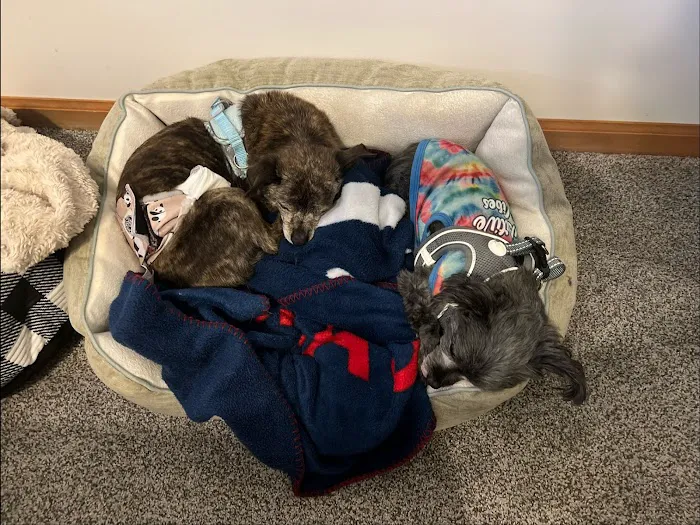 Banfield Pet Hospital 10