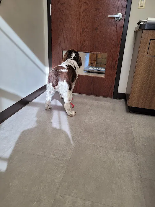 Heritage Veterinary Care 6