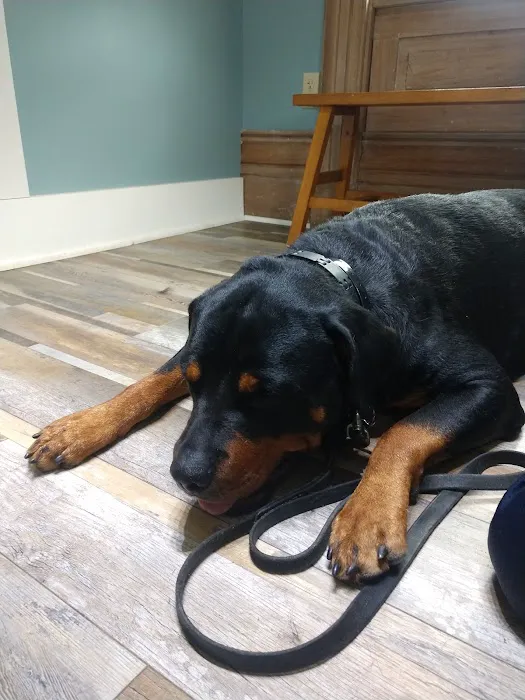 Village Green Veterinary Service Inc 1