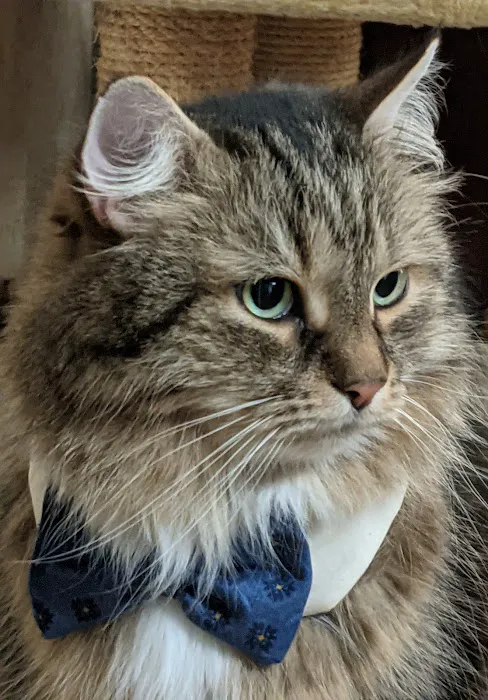 Penn-Ohio Veterinary Services 6