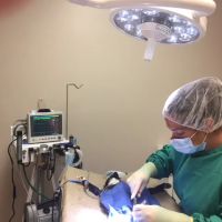 Fette Veterinary Clinic ico