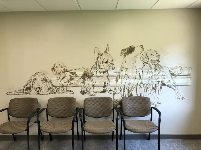 Fette Veterinary Clinic 9