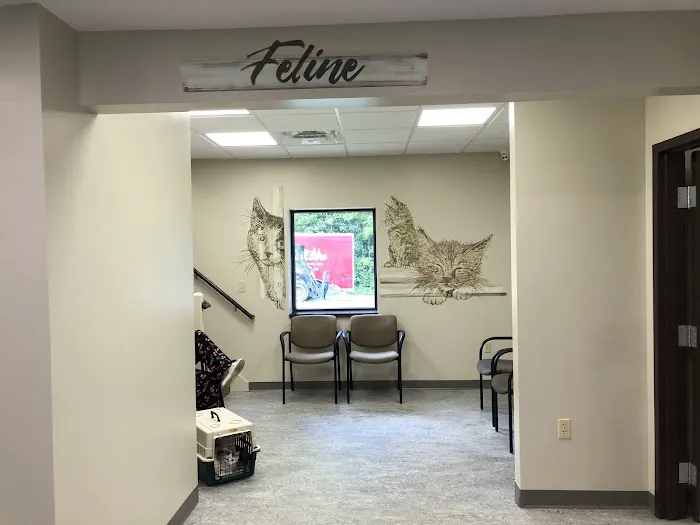 Fette Veterinary Clinic 8