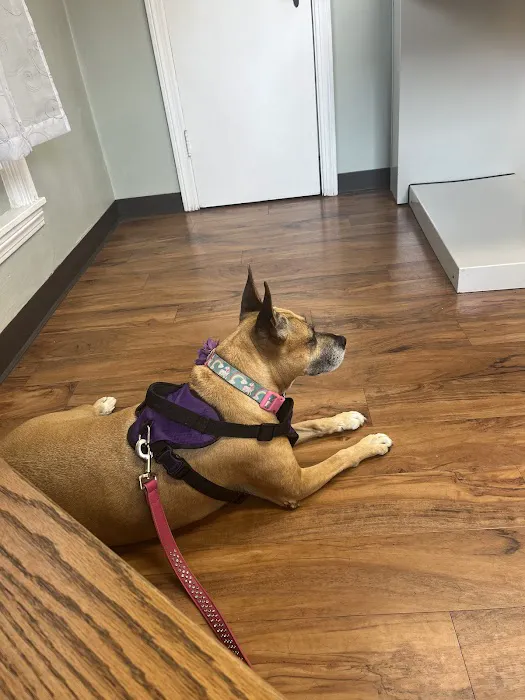 Whispering Pines Veterinary Services - Hermitage 6
