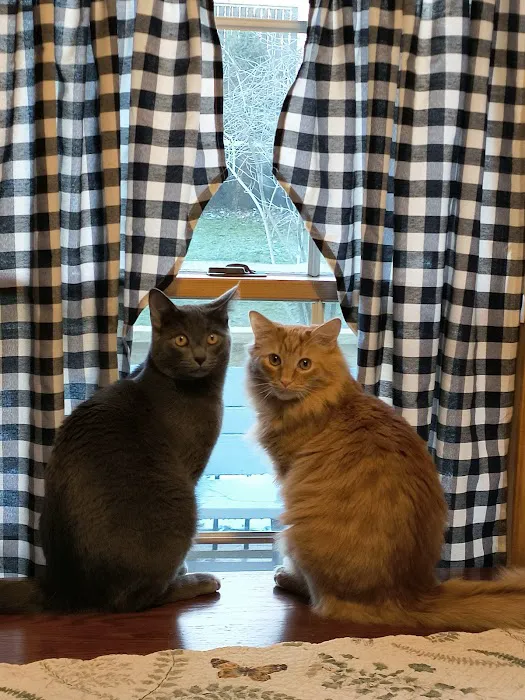 Whispering Pines Veterinary Services - Hermitage 4