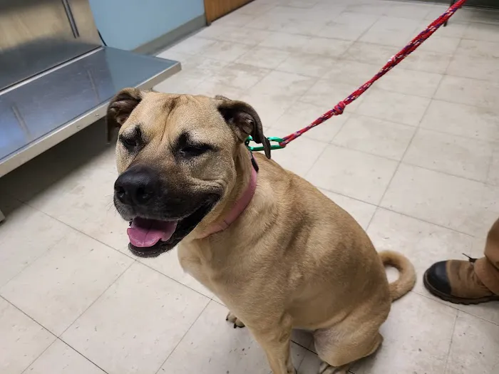 Apple Grove Veterinary Clinic 2