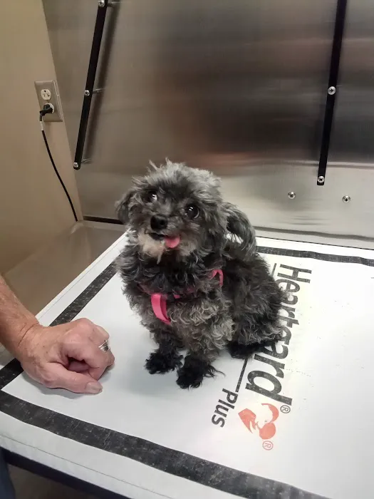 North Memorial Animal Hospital and Paw Spaw 7