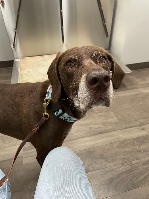 North Memorial Animal Hospital and Paw Spaw 6