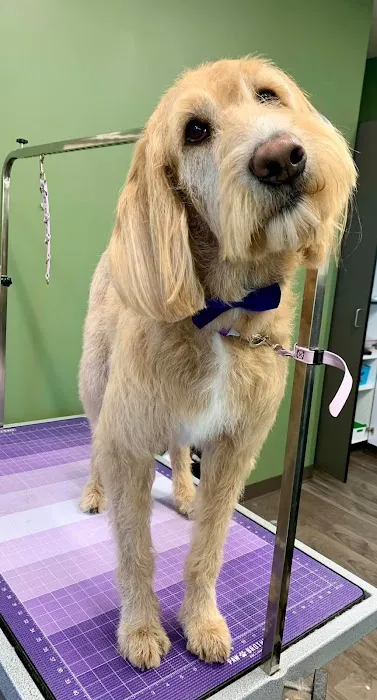 North Memorial Animal Hospital and Paw Spaw 1