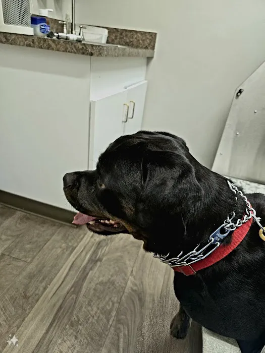 North Memorial Animal Hospital and Paw Spaw 8
