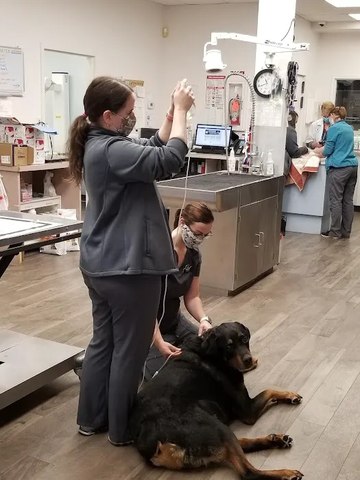 North Memorial Animal Hospital and Paw Spaw 2