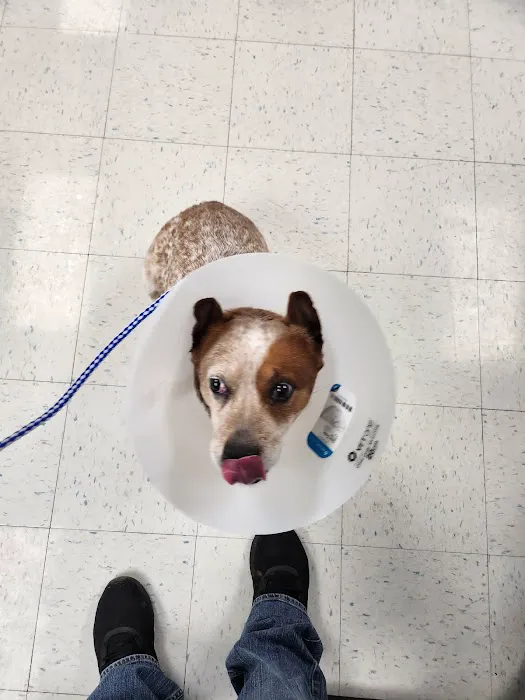 Animal Clinic of Butler, LLC. 4