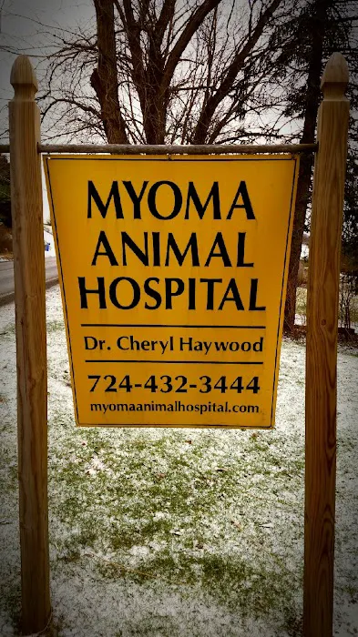 Myoma Animal Hospital 5