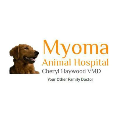 Myoma Animal Hospital 3