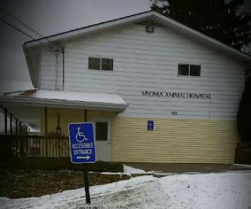 Myoma Animal Hospital