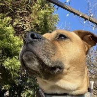 Moraine Grove Veterinary Clinic, Inc ico