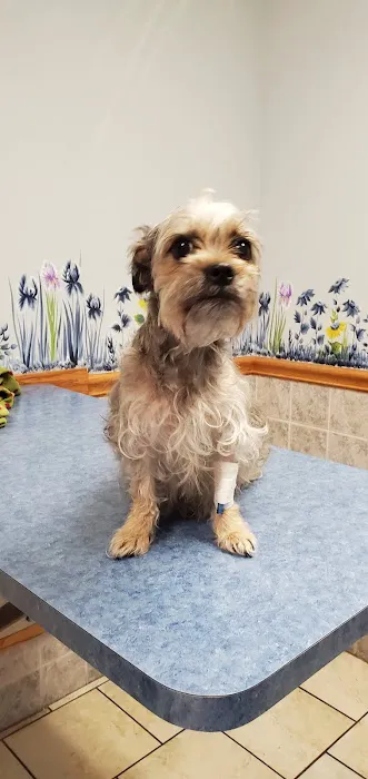 Greenville Veterinary Clinic 5