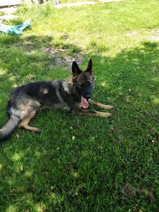 Greenville Veterinary Clinic 8