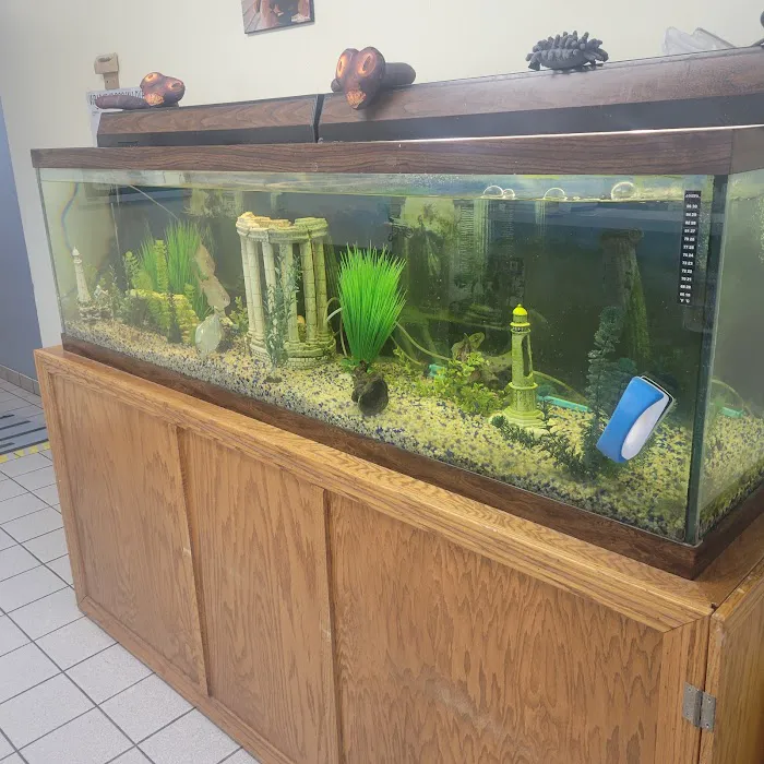 Pleasant's Animal Hospital Inc 6