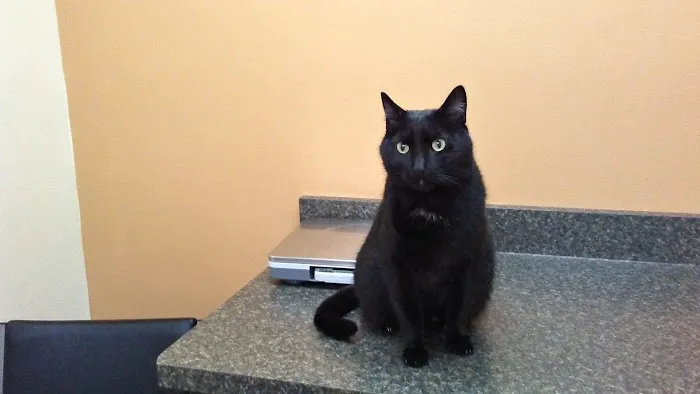 Geneva Veterinary Clinic 9