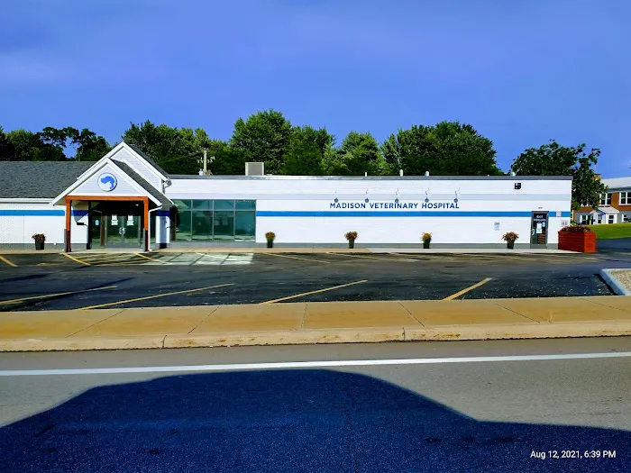 Madison Veterinary Hospital 2