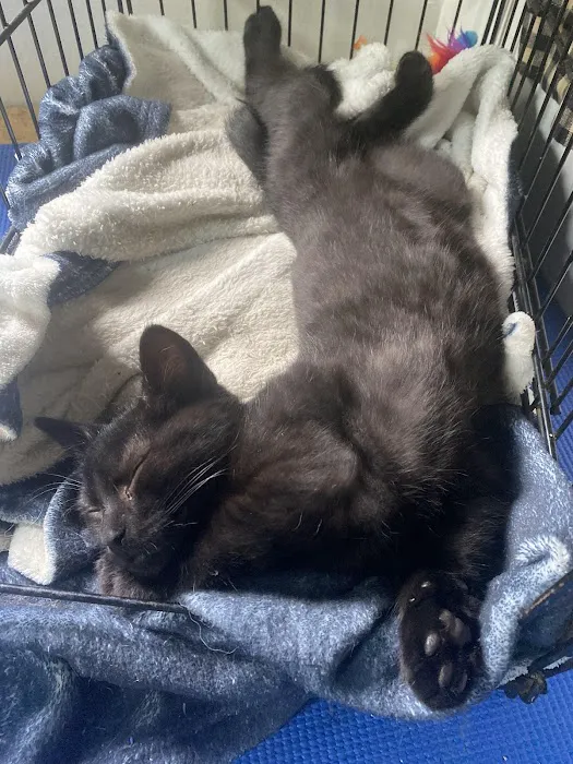 Conneaut Creek Veterinary Clinic 10
