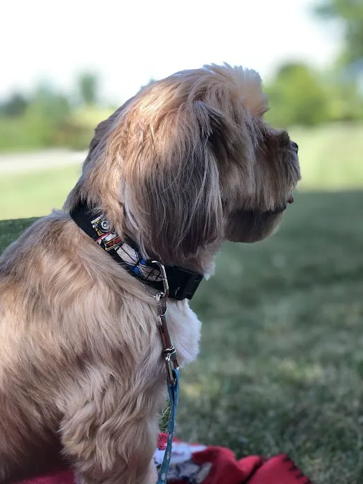 Conneaut Creek Veterinary Clinic 8