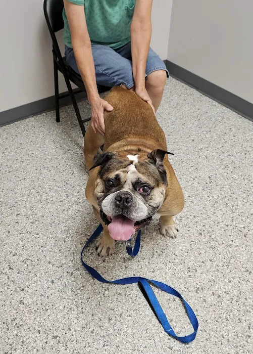 Conneaut Creek Veterinary Clinic 4