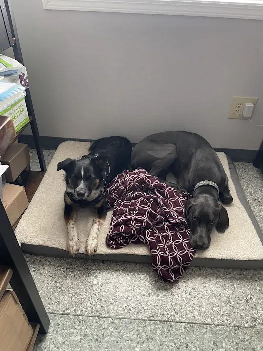 Conneaut Creek Veterinary Clinic 9