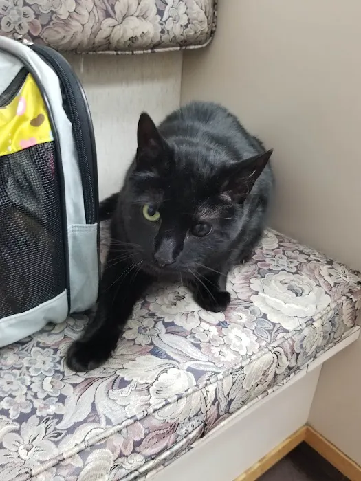 VCA North Ridge Animal Hospital 4