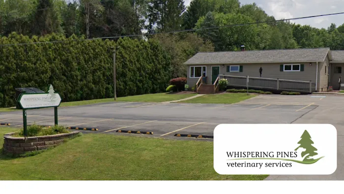 Whispering Pines Veterinary Services - Greenville 10