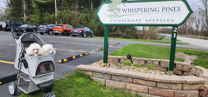 Whispering Pines Veterinary Services - Greenville 6