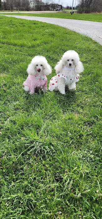 Whispering Pines Veterinary Services - Greenville 9